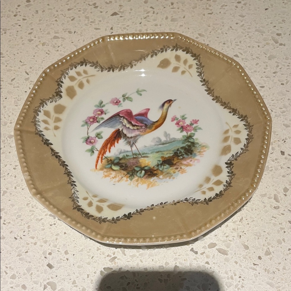Vintage Beige & White Decorative Porcelain Plate with Colorful Bird Motif